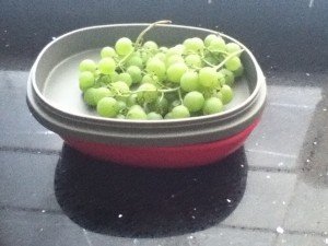 Lunchbox druiven def