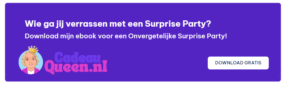 https://cadeauqueen.nl/gratis-ebook-onvergetelijke-surprise-party/