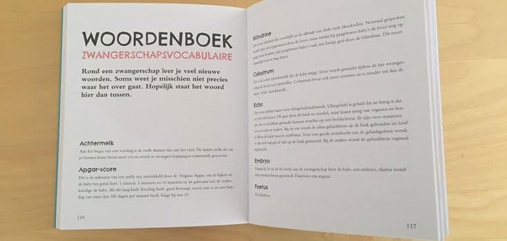 zwangerschapsboek3